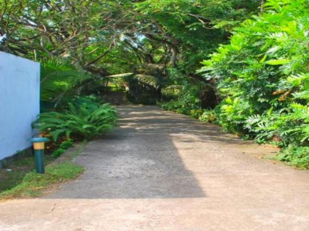 Jagabay Resort & Surfing School Weligama Extérieur photo